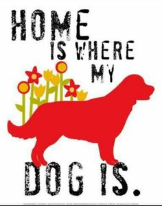 a card with a dog and flowers on it that says home is where my dog is