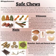 an info sheet describing the benefits of safe chews