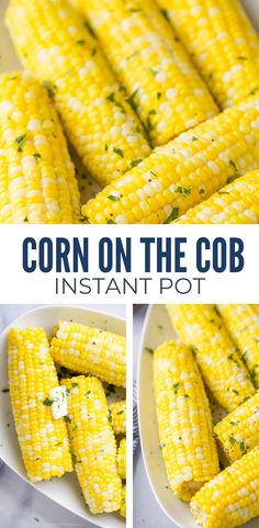 corn on the cob in a white bowl