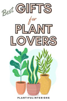 three potted plants with the words best gifts for plant lovers