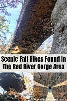 a person walking down a wooden path under a bridge with text overlay reading scenic fall hikes found in the red river gorge area