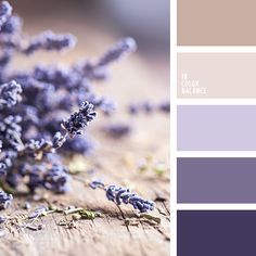 a bunch of purple flowers sitting on top of a wooden table