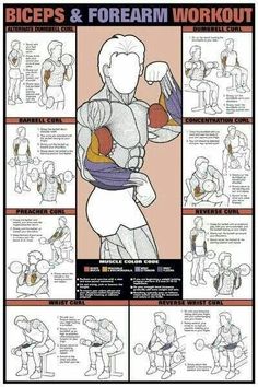 a poster showing how to do the biceps and forearm workout