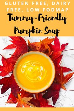 a bowl of pumpkin soup with text overlay reading gluten free, dairy free, low fodmap tummy - friendly pumpkin soup