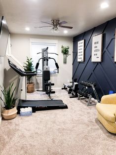 a home gym with exercise equipment and plants