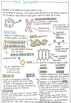 Genetic Research Aesthetic, Cell Biology Notes Aesthetic, Neurosurgeon Aesthetic Notes, Neurosurgeon Notes, Embryology Aesthetic, Biochem Notes, Biology Student Aesthetic