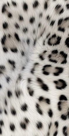 an animal with black and white spots on it's fur is seen in this image