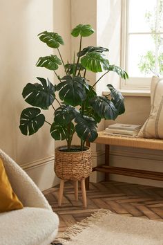 a houseplant in a woven basket on a wooden stand next to a window