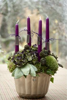 a potted plant with purple candles in it