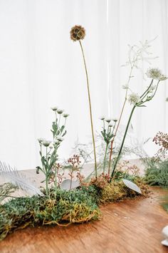 an arrangement of plants and flowers on a table