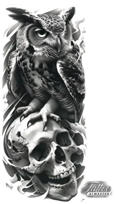 an owl sitting on top of a skull