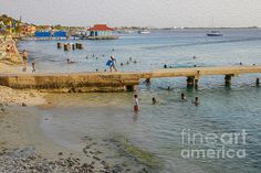 people are swimming in the water near a pier