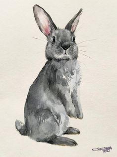 a drawing of a rabbit sitting on the ground