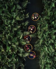 three people in small boats floating down a river surrounded by palm trees and greenery