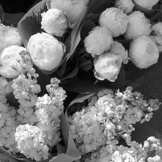 black and white photograph of flowers on display