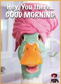 a duck with a pink towel on it's head and the caption says, and just then there's a knock at the door