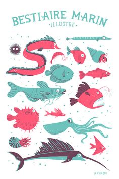 an illustrated poster with different types of fish and sea creatures in red, blue, green and