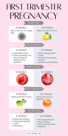 an info sheet describing the different types of fruit