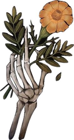 a drawing of a skeleton hand holding a flower