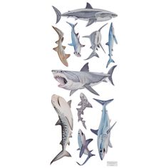 an assortment of shark stickers on a white background