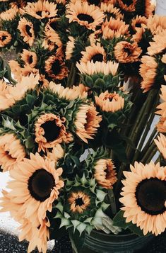 a bunch of sunflowers are in a vase on the ground next to each other