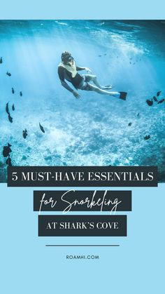 a woman swimming in the ocean with text reading 5 must - have essentials for snagging at shark's cove