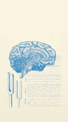 an image of a blue brain and utensils