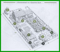 an illustrated drawing of a garden with many different plants and trees around it, including the house