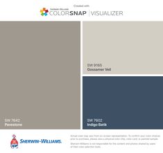 the color scheme for colorsnap visualizer is shown in blue, gray and white