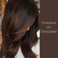 Chestnut Brown Hair, Chestnut Hair, Chestnut Hair Color, Brown Ombre Hair, Chocolate Hair, Caramel Hair, Hair Color Light Brown