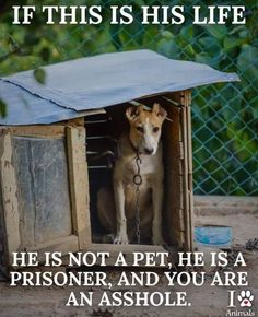 a dog is sitting in his kennel with the caption if this is his life he is not a pet, he is a prisoner, and you are an