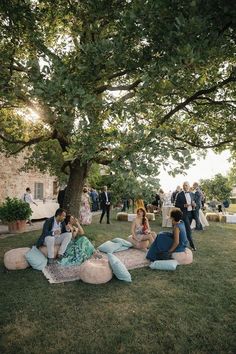 people sitting on bean bags under a tree