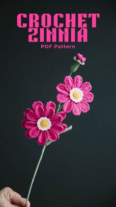 crochet zinna flower pattern in pink and white with text overlay that reads, crochet zinna