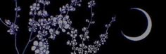 an abstract image of flowers and the moon in the dark night sky with text overlaying it