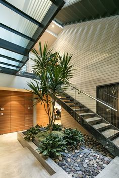 an indoor area with plants and rocks in the center, along with stairs leading up to it