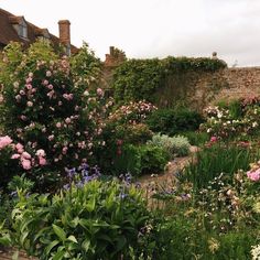 a garden filled with lots of flowers next to a stone wall and building in the background