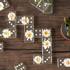 some white and yellow flowers are placed in clear blocks on a table with succulents