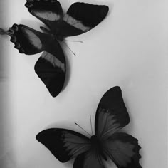 three black and white butterflies flying in the air with their wings spread wide open on a wall