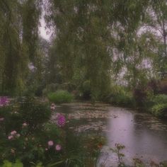 a river surrounded by lush green trees and pink flowers in the foreground, with water lilies on the other side