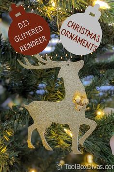 a christmas ornament hanging on a tree with the words diy glittered ornaments