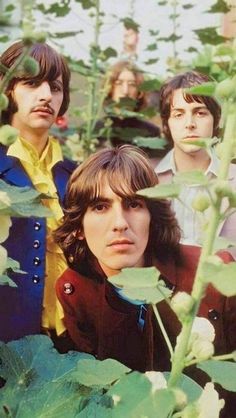 the rolling stones posing for a photo in front of some green plants and leaves, with one man looking at the camera