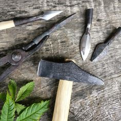 several different types of tools on a wooden surface with leaves and branches around them,