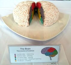 there is a cake that looks like a brain on the plate