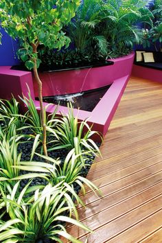 an outdoor area with plants and water features in the center, along with wooden decking