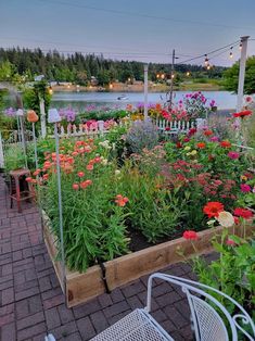 a garden filled with lots of colorful flowers next to a body of water at dusk