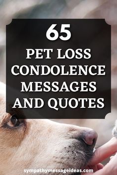 Loss of Pet Condolence Messages and Quotes Pet Sympathy Quotes, Pet Condolences, Loss Of Pet, Hard To Say Goodbye, Pet Sympathy Cards