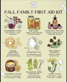 Family First Aid Kit, Herbal First Aid Kit, Herbal First Aid, Apopka Florida, Herbal Academy, Herbal Education, Herbal Medicine Recipes, Herbal Remedies Recipes, Medicinal Herbs Garden