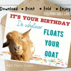 a birthday card with a goat and sprinkles on it