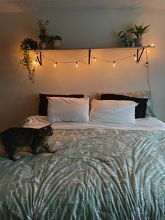 a cat sitting on top of a bed next to two planters with lights above it