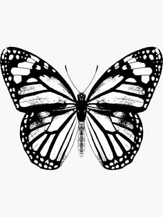 a black and white drawing of a butterfly